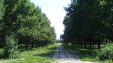 Харьковчане просят благоустроить парк на Новых Домах