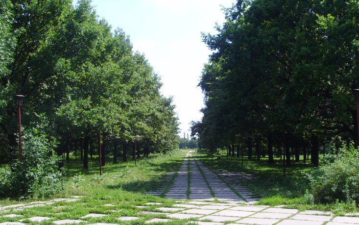 Харьковчане просят благоустроить парк на Новых Домах