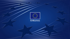 EU4Business: европейский импульс для украинского бизнеса (инфографика)