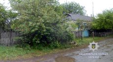 В области парень избил пенсионерку в ее собственном доме