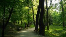 Как мы променяли город-сад на карусельку