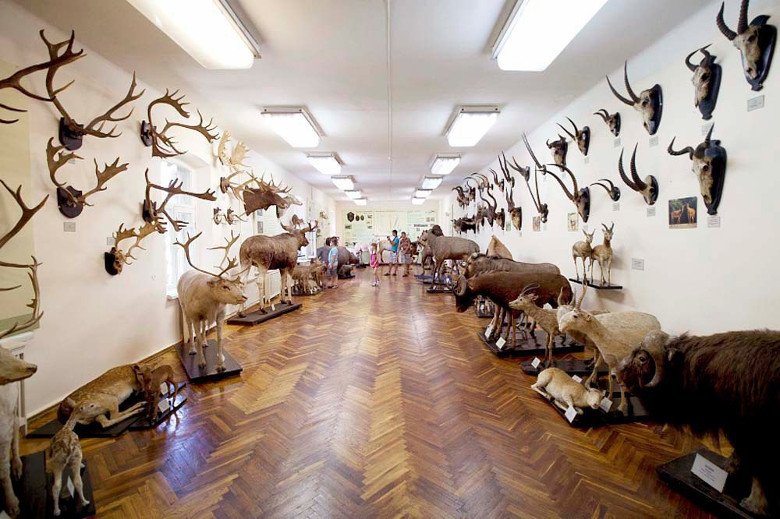 Харьковчан приглашают на бесплатную экскурсию в Музей Природы