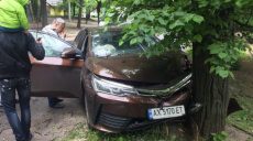 На Бучмы Toyota Corolla врезалась в дерево (Фото)