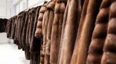 Похитительница норковых шубок приговорена к лишению свободы