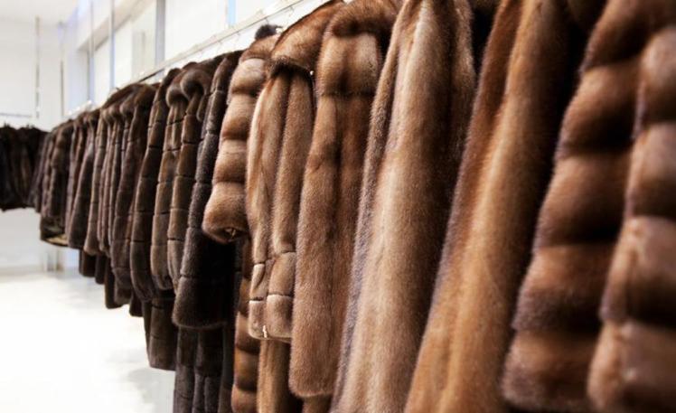 Похитительница норковых шубок приговорена к лишению свободы