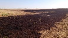 На Харьковщине не прекращаются пожары в экосистемах