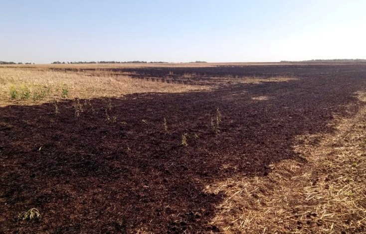 На Харьковщине не прекращаются пожары в экосистемах