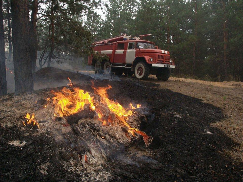 Пожежа в лісі на Харківщині охопила 10 га, її гасили 11 годин – ДСНС