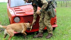 В Харькове Нацгвардейцы-кинологи поделились опытом с коллегами