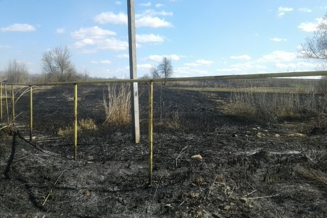 На Харьковщине на пожаре погиб человек