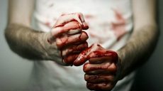 За зверское убийство из ревности мужчине могут дать срок 15 лет