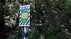 В области мужчина рубил дрова в национальном парке (ФОТО)