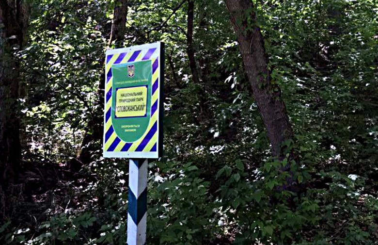 В области мужчина рубил дрова в национальном парке (ФОТО)