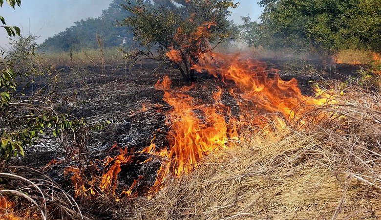 На Харьковщине объявлен чрезвычайный (5 класса) уровень пожарной опасности