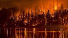 На юге США в пожарах горят дома местных жителей (ФОТО)