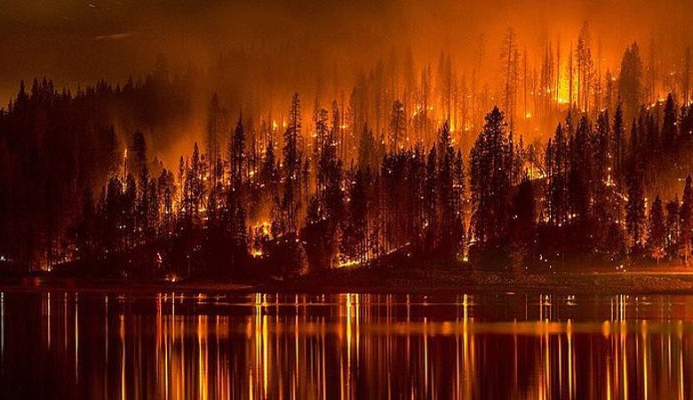 На юге США в пожарах горят дома местных жителей (ФОТО)