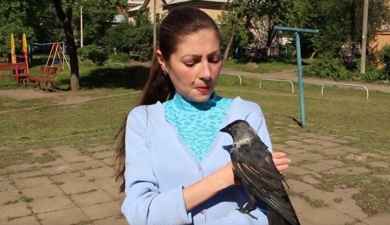 У харьковчанки дома живут необычные питомцы — галки