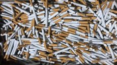 Налоговые милиционеры «перехватили» крупную партию контрафактных сигарет