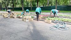 В саду Шевченко высаживают цветы (ФОТО)