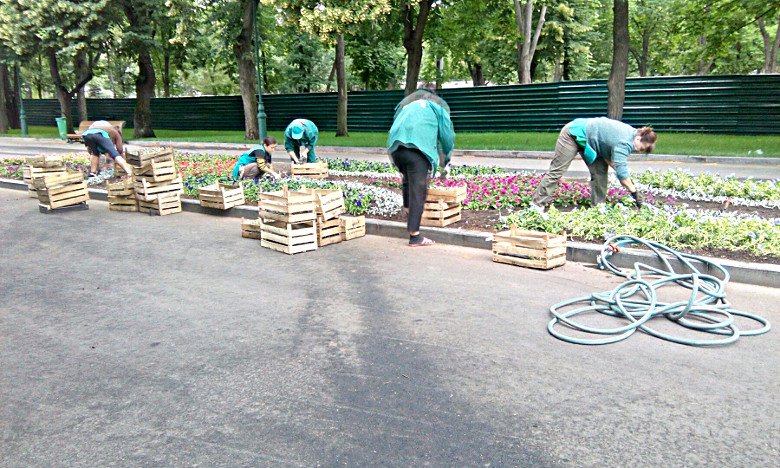 В саду Шевченко высаживают цветы (ФОТО)