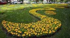 Проспект Независимости в Харькове засадили бархатцами