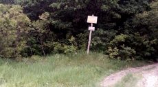 В Харьковском районе за незаконную вырубку леса задержали двух мужчин (фото)