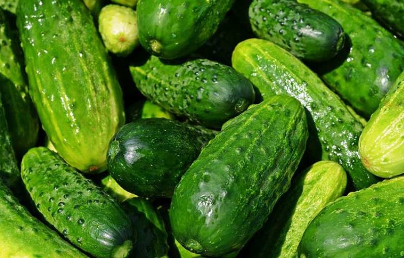 Цены на огурцы резко пошли вниз