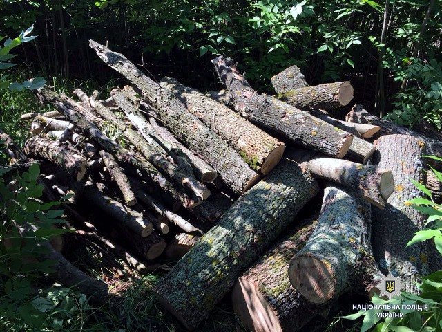 На Харьковщине задержаны незаконные лесорубы