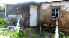 Полиция разыскивает лиц, которые убили животных в одном из приютов Харькова