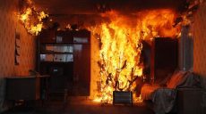 За неделю в области произошло почти 100 пожаров, погибли трое человек