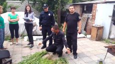 Харьковчанин вырастил плантацию конопли у себя дома (фото)