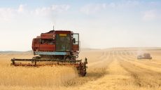 Урожай озимой пшеницы будет меньше прошлогоднего — аграрии (видео)