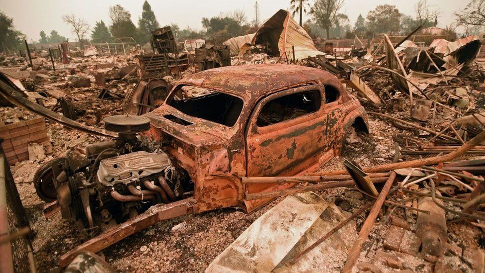 Сгоревшая Калифорния: уничтожено 194 кв. км земель (фото)