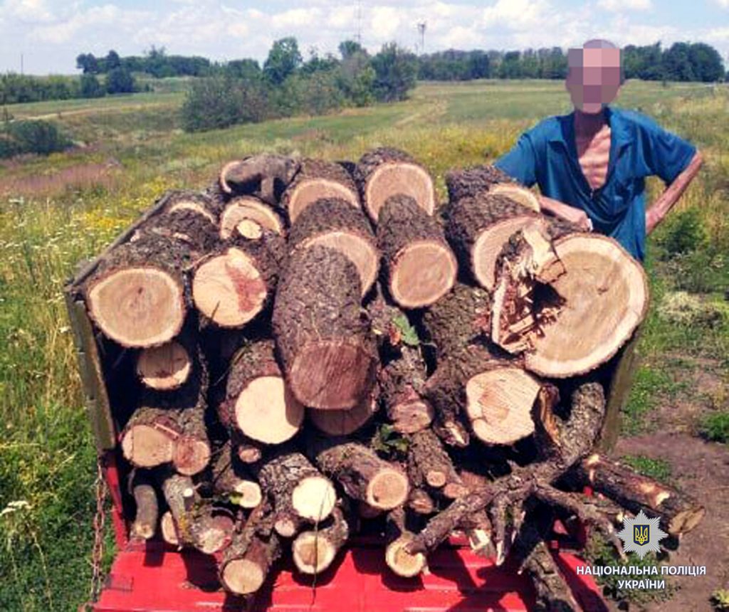 В Харьковской области мужчина незаконно рубил лес