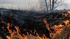 Вокруг Харькова за сутки выгорело более 7 гектаров