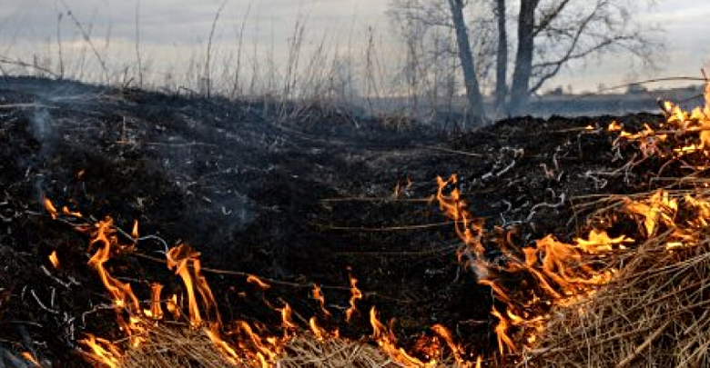 Вокруг Харькова за сутки выгорело более 7 гектаров