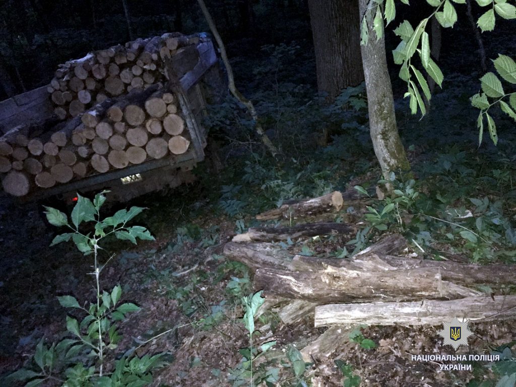 На Харьковщине задержан ГАЗ с незаконно спиленной древесиной (фото)
