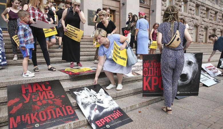 Массовое убийство собак в Николаеве вызвало всеукраинскую акцию