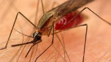 В Харькове зарегистрирован новый случай малярии