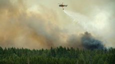 Аномальная для Скандинавии жара вызвала в Швеции лесные пожары (фото)