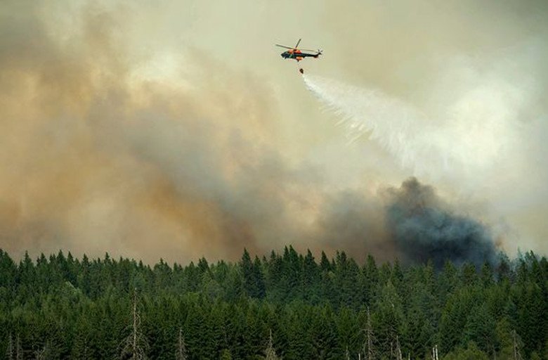 Аномальная для Скандинавии жара вызвала в Швеции лесные пожары (фото)