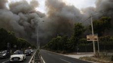 В Греции продолжает бушевать огонь: волонтеры находят выживших домашних животных и возвращают хозяевам