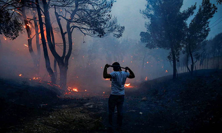 Греция горит: 74 погибших, 164 госпитализированных (фото)