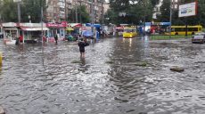 В Киеве мощный ливень повалил деревья и разрушил мост (фото, видео)