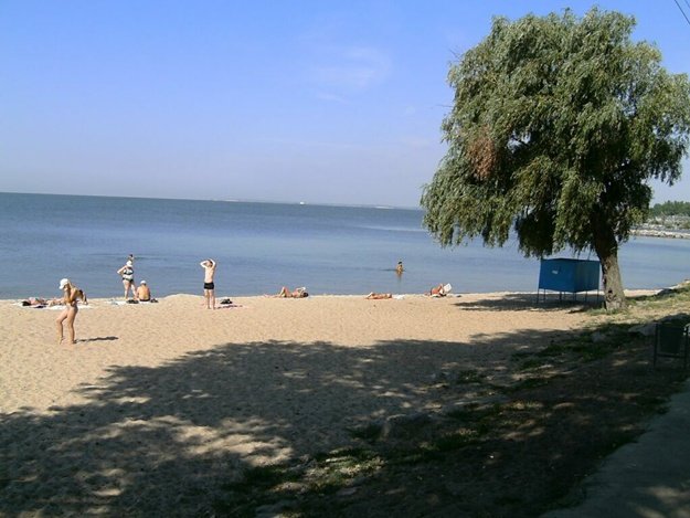 На пляжах в одном из городов Харьковщины нашли кишечную палочку