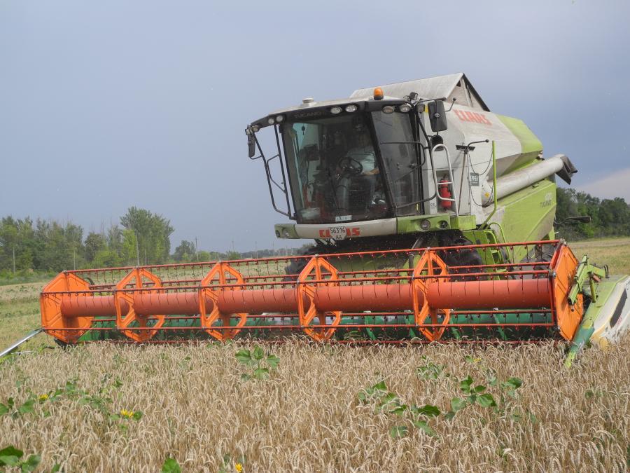 Урожай Харьковщины: аграрии намолотили второй миллион тонн зерна