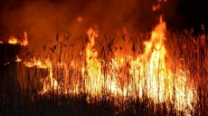 В 2018 году на Харьковщине было меньше лесных пожаров, чем в 2017