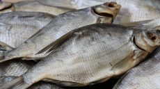 На Харьковщине проверят все оптовые базы, поставляющие вяленую рыбу (видео)