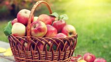 Яблочный спас или Преображение Господне: традиции и обряды