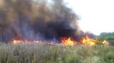 В Харьковской области пенсионерка подожгла сухостой и сама в нем сгорела